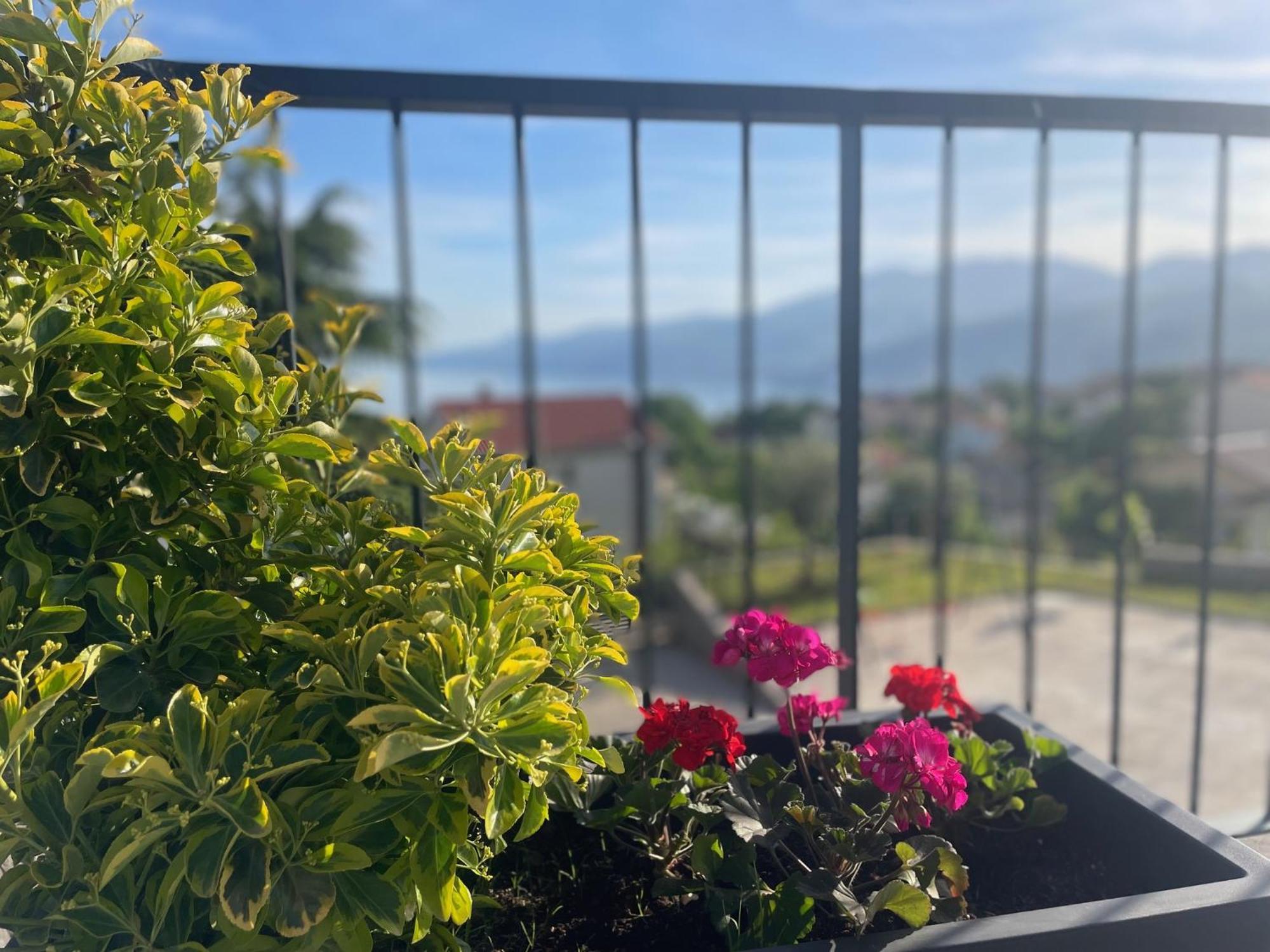 Apartments Alba Chiara คาสตาฟ ภายนอก รูปภาพ